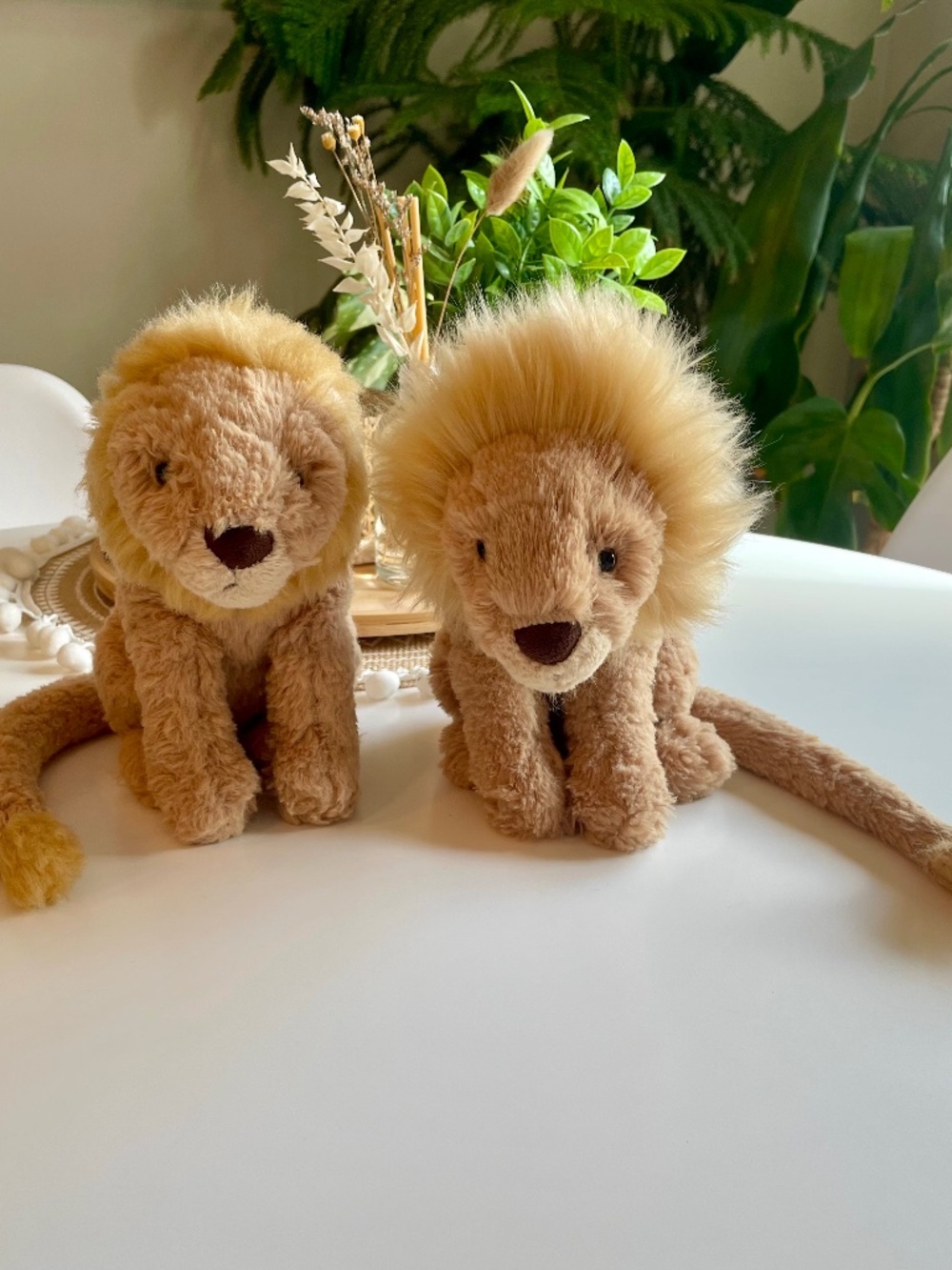 Jellycat Leonardo Lion Set